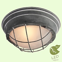 Потолочный светильник Lussole Loft BRENTWOOD GRLSP-9881