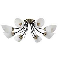   Lumion Comfi Eliana 4592/8C