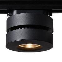 Светильник потолочный Arte Lamp  A2508PL-1BK
