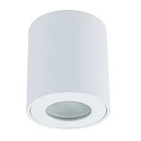 Потолочный светильник Arte Lamp TINO A1469PL-1WH