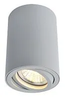 Светильник потолочный Arte Lamp  A1560PL-1GY